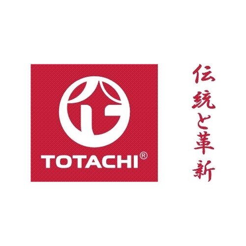 TOTACHI P6930 TOTACHI COMPLETE FUEL SYSTEM CLEAN AUTO (Комплексный очиститель топливной системы для авто) 300 мл