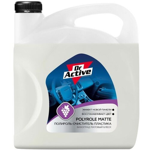 Полироль пластика Sintec Dr.Active Polyrole Matte виноград 5 кг